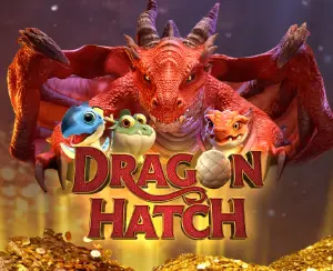 Dragon Hatch